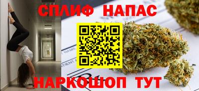 spice Гусев