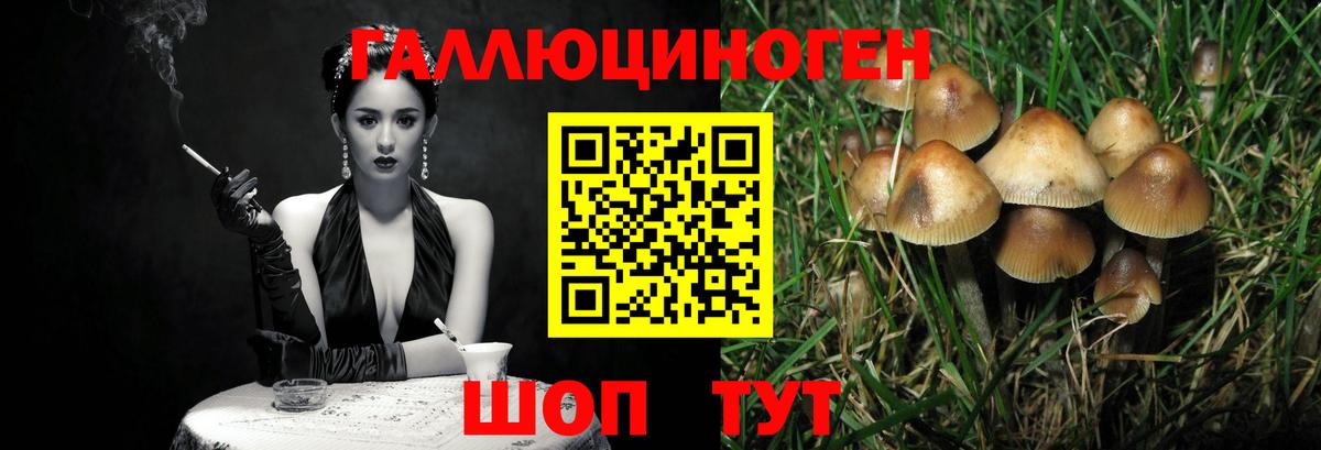 Псилоцибиновые грибы ЛСД  Вход с VPN  Нижний Новгород 